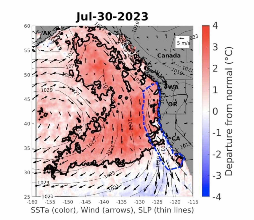 Developed by NOAA Fisheries Centers after the 2014-16 marine heatwave, aka the Blob, the California Current Marine Heatwave Tracker records offshore Pacific Ocean temperatures along the west coast.
/NOAA Fisheries
