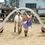 Brielle Murphy, 7, of Port Angeles, representing Olympic Peninsula Llama/Alpaca Rescue, coaxes her alpaca, Venus, under an obstacle of plastic tubing during agility trials on Saturday at the Clallam County Fair. (Keith Thorpe/Peninsula Daily News)
