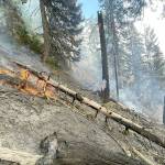Firefighters battle flames at Hurricane Ridge on steep terrain.  NPS