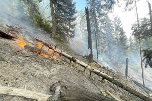 Firefighters battle flames at Hurricane Ridge on steep terrain.  NPS