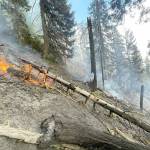 Firefighters battle flames at Hurricane Ridge on steep terrain. (Olympic National Park)