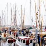 Steve Mullensky/for Peninsula Daily News
The south dock at the Point Hudson Marina is a hub of activity on Friday, the first day of the Wooden Boat Festival. Hundreds of wooden boats of all sizes and shapes are available for viewing during the three-day show.