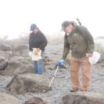 Karin and Juan Haley of Port Angeles do volunteer beach cleanup on Ediz Hook on Saturday morning. The event at Harborview Park and other spots along the coastline was sponsored by Washington CoastSavers, a program of the Washington Clean Coast Alliance. (Dave Logan/for Peninsula Daily News)