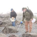 Karin and Juan Haley of Port Angeles do volunteer beach cleanup on Ediz Hook on Saturday morning. The event at Harborview Park and other spots along the coastline was sponsored by Washington CoastSavers, a program of the Washington Clean Coast Alliance. (Dave Logan/for Peninsula Daily News)