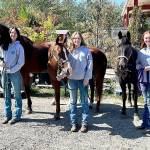 Counties from across the state send their top exhibitors in the intermediate and senior divisions to compete at the Washington State Fair in Puyallup during September. Pictured are Clallam Countys 4-H members Ava Hairell and Banjo, left, Taylor Maughan with Ru and Katelynn Sharpe with Sophie. (photo by Katie Newton)
