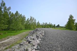 Petitions developed by local citizens seek to keep the new Towne Road unpaved and open to hikers and walkers. (Michael Dashiell/Olympic Peninsula News Group)
