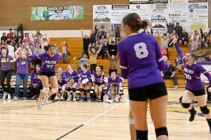 Sequim volleyball players from left, Tiffany Lam, Kassi Montero, Rose Gibson and Brianna Palenik, celebrate a set victory over Kingston during the Wolves 3-1 win over the Buccaneers. (Michael Dashiell/Olympic Peninsula News Group)