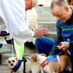 The Rev. Craig Vocelka of St. Pauls Episcopal Church blesses 12-year-old Sweetpea, left, and Abner, 2, as their caregiver Danny Barnes of Port Hadlock looks on during Sundays Blessing of the Animals in Port Townsend. More than a dozen dogs came with their people to the labyrinth at St. Pauls, where the spirit of St. Francis, a lover of animals, was invoked. (Diane Urbani de la Paz/For Peninsula Daily News)