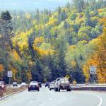 Traffic makes its way down U.S. Highway 101 at Morse Creek east of Port Angeles against a backdrop of colorful fall foliage. With autumn getting into full swing, trees are going into their fall colors before falling into the grayness of winter. (Keith Thorpe/Peninsula Daily News)