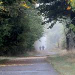 Walkers make their way along a foggy portion of the Olympic Discovery Trail near William R. Fairchild International Airport in Port Angeles. Areas of fog covered many portions of the North Olympic Peninsula on Thursday with wetter weather forecast for the weekend. (Keith Thorpe/Peninsula Daily News)