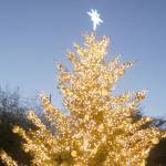 The downtown Port Angeles Christmas tree is surrounded by people during a lighting ceremony on Saturday at First and Lincoln streets. The 30-foot tree will stand at the Conrad Dyar Memorial Fountain plaza through the holidays. (Keith Thorpe/Peninsula Daily News)