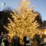 The downtown Port Angeles Christmas tree is surrounded by people during a lighting ceremony on Saturday at First and Lincoln streets. The 30-foot tree will stand at the Conrad Dyar Memorial Fountain plaza through the holidays. (Keith Thorpe/Peninsula Daily News)