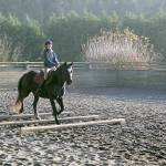 Photo by Karen Griffiths

Cutline: During a lesson in Freedom Farm’s indoor arena Hadley Wolslegel goes over a set of cavetti under the guidance of farm owner and instructor Mary Gallagher. Working over  cavetti, which can be set up with varying heights and poles, helps the rider learn how to maintain a sense of timing, balance and form, and aids the rider in developing the ability to evaluate distance and measuring the horse’s length of step —shortening or lengthening —when going over jumps.