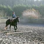 During a lesson in Freedom Farms indoor arena, Hadley Wolslegel goes over a set of cavetti under the guidance of farm owner and instructor Mary Gallagher. Working over cavetti, which can be set up with varying heights and poles, helps the rider learn how to maintain a sense of timing, balance and form, and aids the rider in developing the ability to evaluate distance and measuring the horses length of step shortening or lengthening when going over jumps. (Karen Griffiths/For Peninsula Daily News)