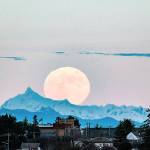 Steve Mullensky/for Peninsula Daily News

The Cold Moon, the December full moon and the last full moon of the year, rises above Mount Shuksan and over homes in Port Townsend's Uptown neighborhood in the early evening Tuesday.