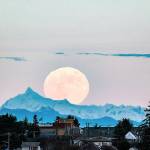 The Cold Moon, the December full moon and the last full moon of the year, rises above Mount Shuksan and over homes in Port Townsends Uptown neighborhood in the early evening Tuesday. (Steve Mullensky/for Peninsula Daily News)