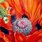 Evette Allerdings of Port Angeles created Orangy, a silk painting, for the Burst of Color show opening today at Port Townsends Jeanette Best Gallery. (Evette Allerdings)