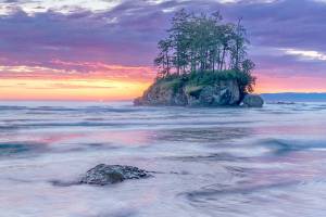 Becky Stinnetts artwork is among the varied work presented by local artists at Harbor Art Gallery.