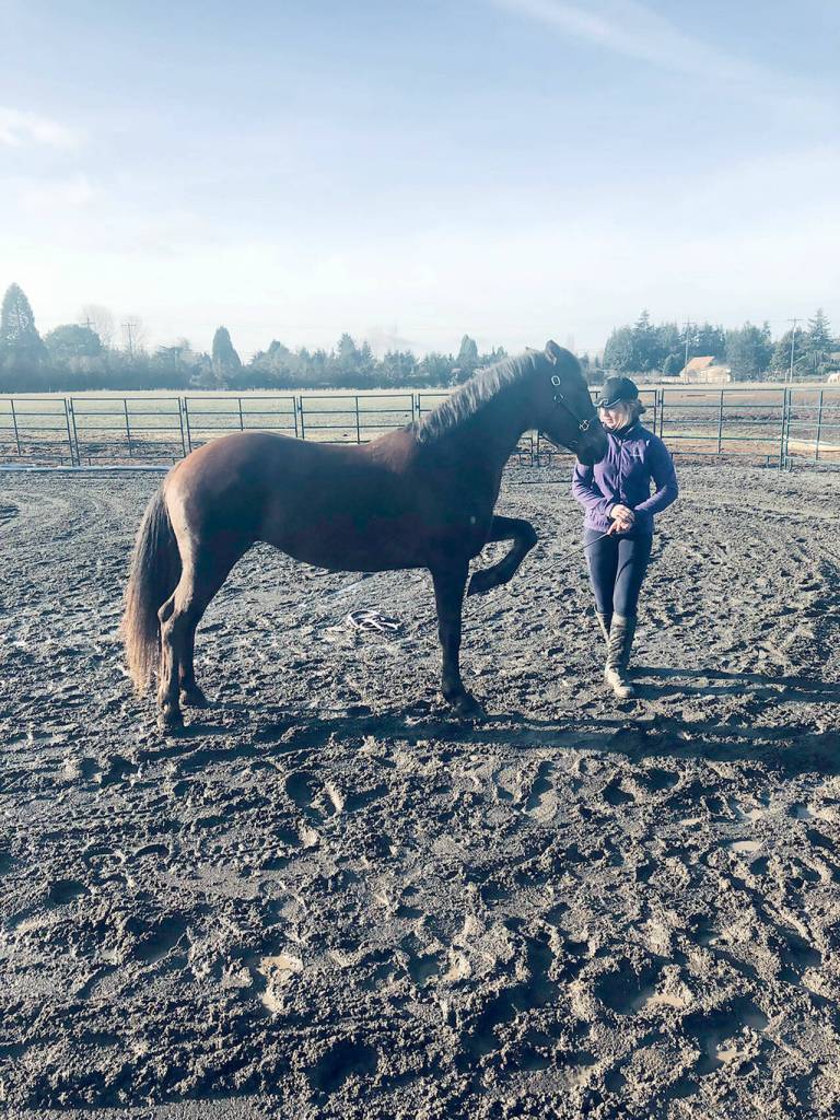 Marissa uses At Liberty training to instruct Freesia, 6, a Paisley Desert HMA Oregon BLM Mustang, to lift her left leg up. (Karen Griffiths/For Peninsula Daily News)