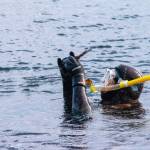 Annie Raymond, Jamestown SKlallam Tribe shellfish biologist, inspects a piece of kelp as a possible candidate for a kelp seed bank. (Tiffany Royal/Northwest Indian Fisheries Commission)
