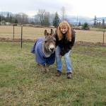 Photo submitted by Karen Griffiths
Melody Johnson with mini donkey Maximus