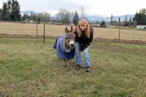 Photo submitted by Karen Griffiths
Melody Johnson with mini donkey Maximus