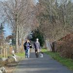KEITH THORPE/PENINSULA DAILY NEWS
Alison and Brian Fogarty of Sequim, along with their dog, Bowie, take a mid-winter stroll along a portion of the Olympic Discovery Trail near the Dungeness River Nature Center in Sequim on Thursday. Warm sunshine with temperatures in the 50s made the excursion seem more spring-like than wintery.