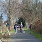 Alison and Brian Fogarty of Sequim, along with their dog, Bowie, take a mid-winter stroll along a portion of the Olympic Discovery Trail near the Dungeness River Nature Center in Sequim on Thursday. Warm sunshine with temperatures in the 50s made the excursion seem more spring-like than wintery. (KEITH THORPE/PENINSULA DAILY NEWS)