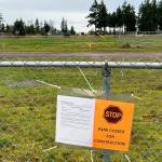 Construction will soon begin between two T-ball fields in the Dr. Standard Little League Park to dig a deeper well that City of Sequim staff said will help balance the pressure in the overall water system, improve water quality and meet forecasted water demands through 20 years. (Matthew Nash/Olympic Peninsula News Group)