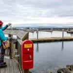 Artist Chris Stevenson, who described herself as an urban sketcher from Port Townsend, uses a pencil for scale as she sketches the work at the new entrance to Point Hudson Marina on Monday morning. A group in town, the Port Townsend Urban Sketchers will meet at 10 a.m. Saturday to sketch at the Port Townsend Aero Museum. Sessions are free and open to sketchers of all skill levels. For more information, see www.urbansketchersporttownsend.wordpress.com. (Steve Mullensky/for Peninsula Daily News)