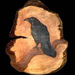 Carolyn Does Places Where the Light Gets In is on view at Gallery 9.