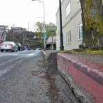 A tree that has grown out of its tree box and shattered a nearby curb and sidewalk in the 100 block of North Oak Street is among those targeted for removal and replacement in downtown Port Angeles. (Keith Thorpe/Peninsula Daily News)