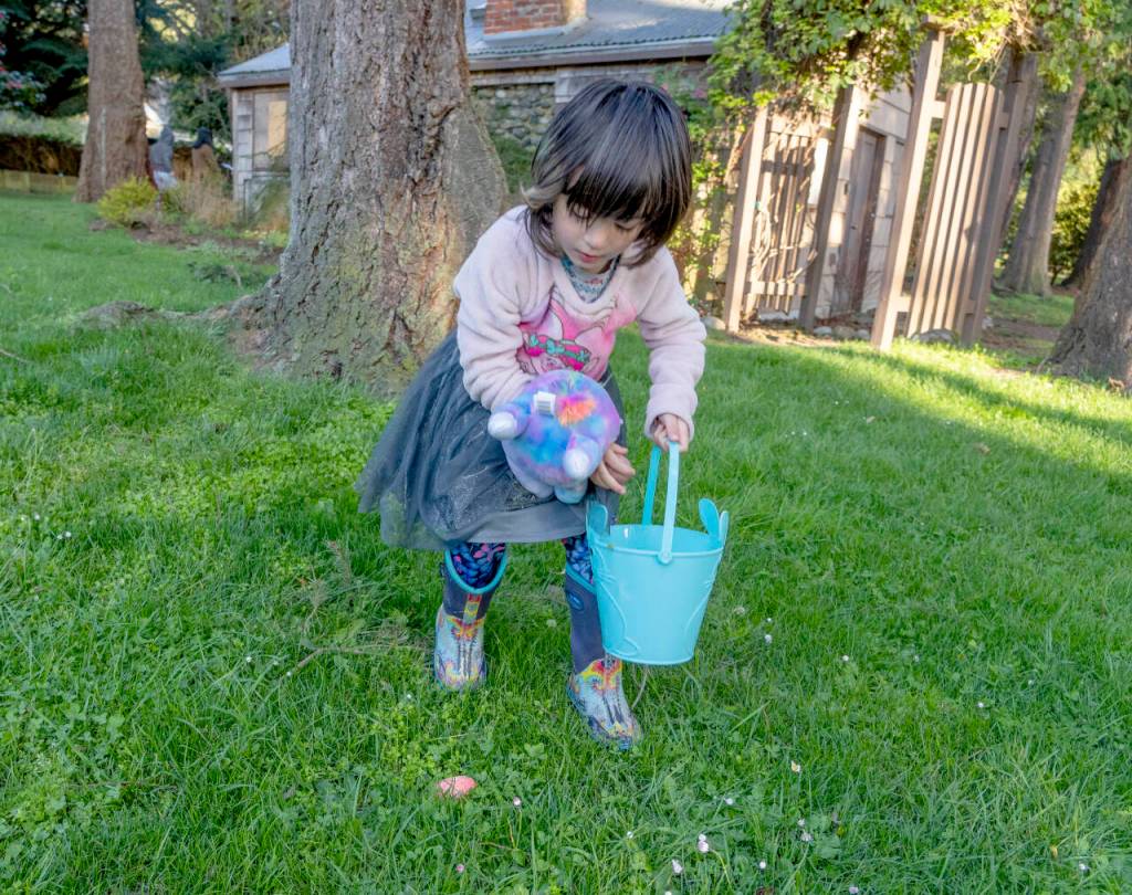 Juno Kataji, 4, from Port Townsend, spots an egg and picks it up to add to her collection during the 94th Elks Club Easter Egg Hunt in Chetzemoka Park on Sunday. (Steve Mullensky/for Peninsula Daily News)