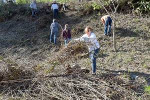 Ashlynn Emiliani of Port Angeles, center, tosses woody debris into a pile for collection as volunteers work to clean up a section of hillside above the parking lot of the Red Lion Hotel in Port Angeles on Saturday. More than a dozen members of Elevate PA spent the morning clearing up overgrown areas on the hillside from Haynes Viewpoint to the hotels Front Street driveway as part of a city beautification effort. (Keith Thorpe/Peninsula Daily News)