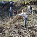 Ashlynn Emiliani of Port Angeles, center, tosses woody debris into a pile for collection as volunteers work to clean up a section of hillside above the parking lot of the Red Lion Hotel in Port Angeles on Saturday. More than a dozen members of Elevate PA spent the morning clearing up overgrown areas on the hillside from Haynes Viewpoint to the hotels Front Street driveway as part of a city beautification effort. (Keith Thorpe/Peninsula Daily News)