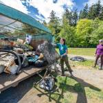 Jennifer Dine, right, of Hood River, Ore., watches as Mandi Johnson, outreach coordinator for the Marine Science Center in Port Townsend, throws additional debris into a dumpster for later removal to a landfill. The debris came from the Hood Canal Bridge, Discovery Bay, Cape George, Port Townsend and Port Hadlock areas of Jefferson County during an Earth Day beach cleanup event on Saturday. (Steve Mullensky/for Peninsula Daily News)