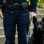 Officers Paul Dailidenas and Mamba