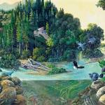 Canyon to Estuary: Return of the Elwha River by Larry Eifert is part of the exhibit Beauty and Resilience: From Dismantling to Ecosystem Recovery at the Port Angeles Fine Arts Center through Sept. 8.