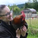 Shayna Robnett holds Phoenix, a rooster abandoned near Baker Dip near Morse Creek, at Lillys Safe Haven in Port Angeles. Robnett estimates the nonprofit has rescued more than 70 roosters since its inception about four years ago. (Michael Dashiell/Olympic Peninsula News Group)