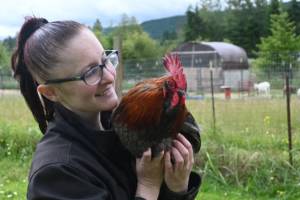 Shayna Robnett holds Phoenix, a rooster abandoned near Baker Dip near Morse Creek, at Lillys Safe Haven in Port Angeles. Robnett estimates the nonprofit has rescued more than 70 roosters since its inception about four years ago. (Michael Dashiell/Olympic Peninsula News Group)