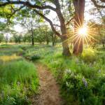 Winning 2023 photo by Annette Jones was featured on the cover of the FNWB 2024 Proxy Statement. Courtesy First Fed