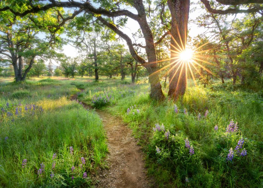 Winning 2023 photo by Annette Jones was featured on the cover of the FNWB 2024 Proxy Statement. Courtesy First Fed