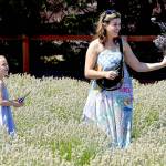 Crystal Heap of Lynden admires a lavender bouquet as her daughter, Lillian, 6, looks on at Old Barn Lavender Company near Sequim on Saturday, part of Sequim Lavender Weekend. (Keith Thorpe/Peninsula Daily News)