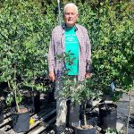 Paul Forrest stands with the actual trees that will be available in the city tree shade program. (Andrew May/For Peninsula Daily News)