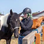 Grace Mathews, 14, of Chimacum grooms her Tennessee walking horse Chief, also 14, before entering the ring for the Showmanship Class competition on Thursday at the Jefferson County Fairgrounds in Port Townsend. The 87th annual fair starts today and runs through Sunday. (Steve Mullensky/for Peninsula Daily News)
