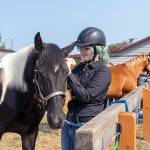 Grace Mathews, 14, of Chimacum grooms her Tennessee walking horse Chief, also 14, before entering the ring for the Showmanship Class competition on Thursday at the Jefferson County Fairgrounds in Port Townsend. The 87th annual fair starts today and runs through Sunday. (Steve Mullensky/for Peninsula Daily News)