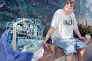 Kevin Anderson of Port Angeles takes a travel cage of six cockatiels for a walk to the Conrad Dyar Memorial Fountain on a sunny Thursday in downtown Port Angeles. Anderson said the birds were fond of the outdoors and didnt mind being confined to a cage for the outing, adding that each of the birds had its own cage at home. (Keith Thorpe/Peninsula Daily News)