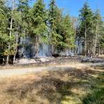 East Jefferson Fire Rescue crews extinguished a brush fire on Saturday adjacent to Coon Plumbing in Port Townsend. (East Jefferson Fire Rescue)
