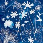 Cyanotypes, made from sunlight and nontoxic UV-sensitive solution, are one-of-a-kind artworks, teaching artist Fruma Markowitz says. (Fruma Markowitz)