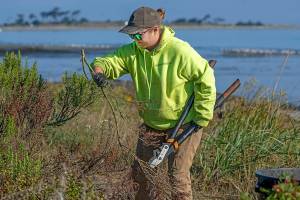 Port of Port Townsend employee Eva Ellis trims brush and weeds out of the rain gardens Wednesday morning at Point Hudson in advance of the annual Port Townsend Wooden Boat Festival Sept. 6-8 at Point Hudson Marina. (Steve Mullensky/for Peninsula Daily News)